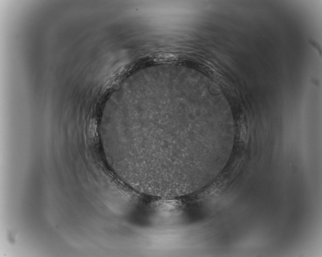 X0000101220711200807071348