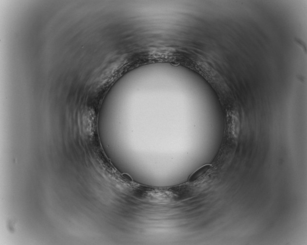 X0000101220712200807071348