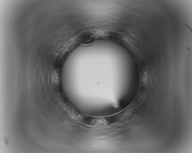 X0000101220715200807071348