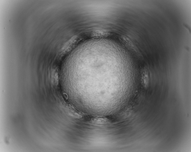 X0000101220716200807071348