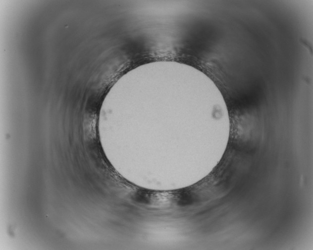 X0000101220717200807071348