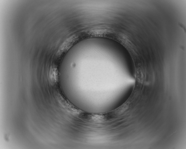 X0000101220718200807071348