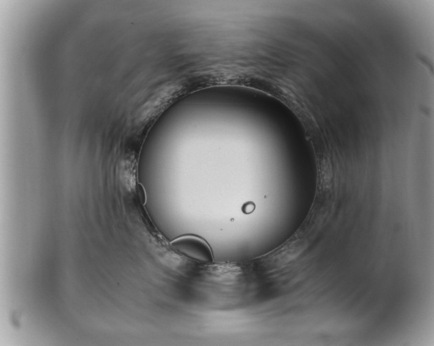 X0000101220719200807071348