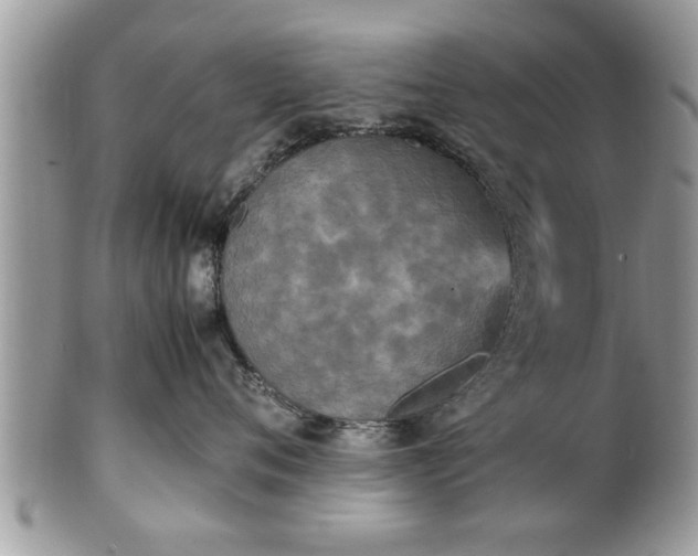 X0000101220720200807071348