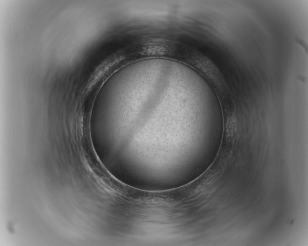 X0000101220722200807071347