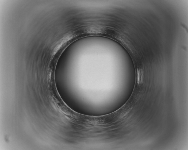 X0000101220723200807071347