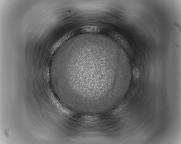 X0000101220725200807071347