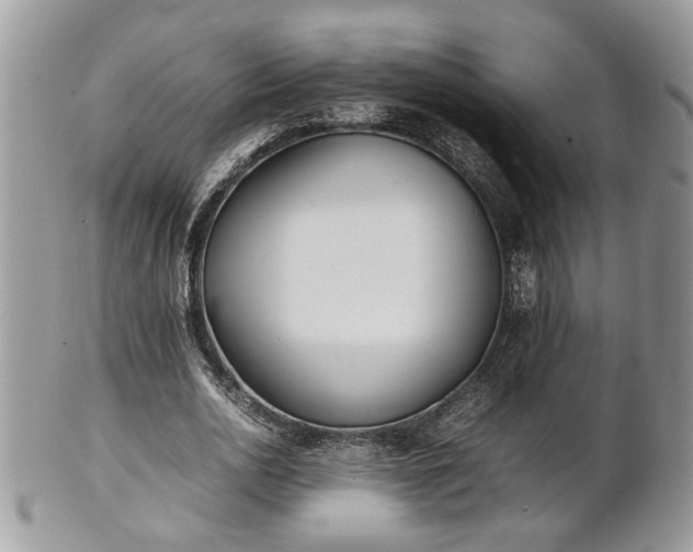 X0000101220726200807071347