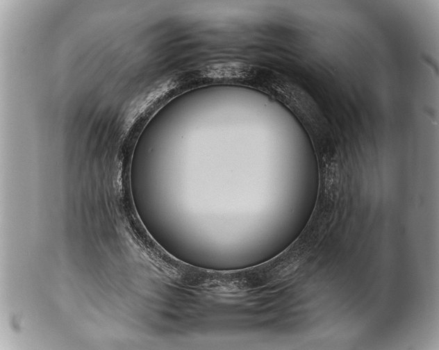 X0000101220727200807071347