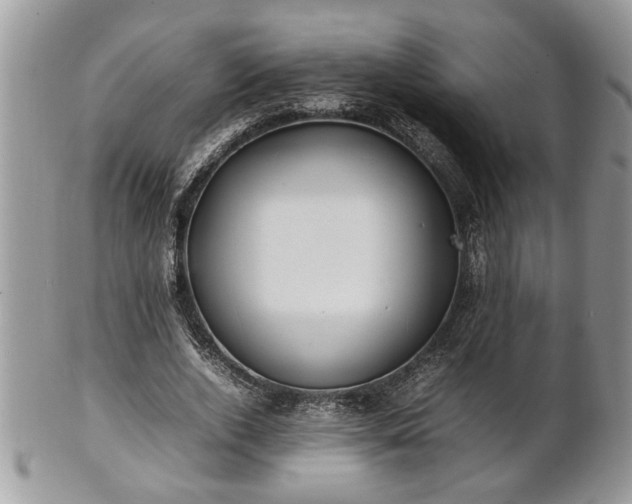X0000101220728200807071347