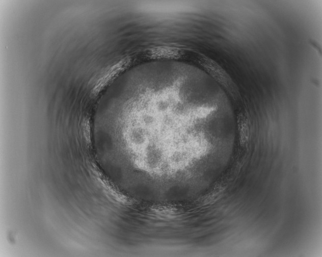 X0000101220729200807071347