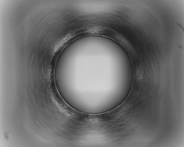 X0000101220730200807071347