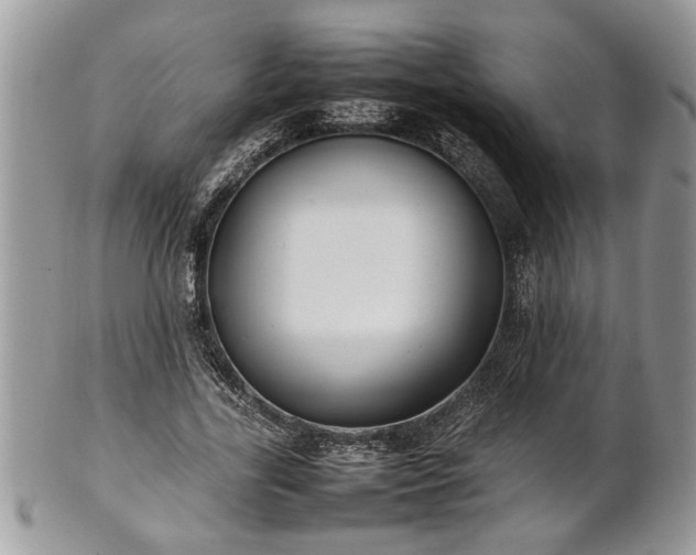 X0000101220731200807071347
