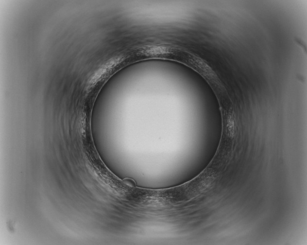 X0000101220732200807071347