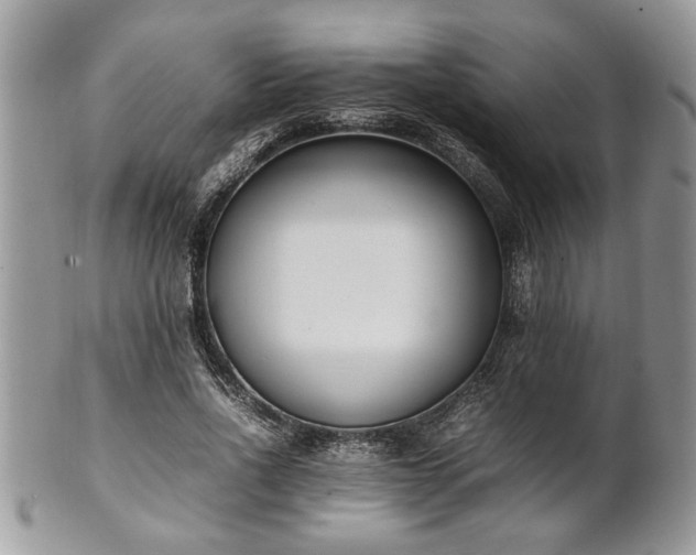 X0000101220734200807071347