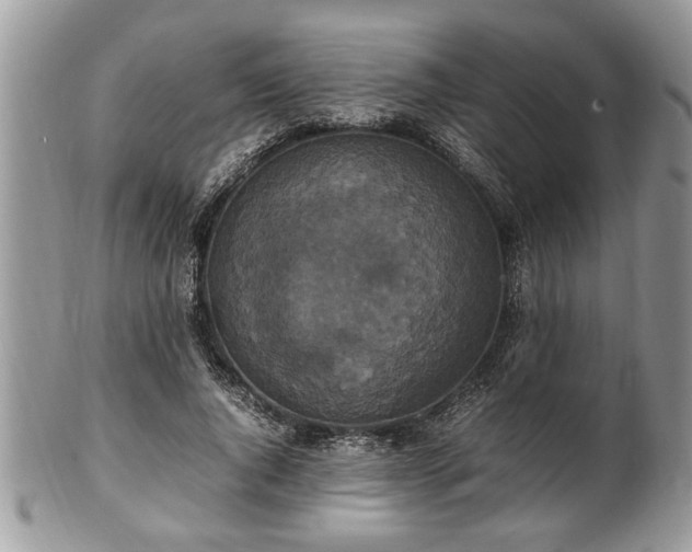 X0000101220736200807071347