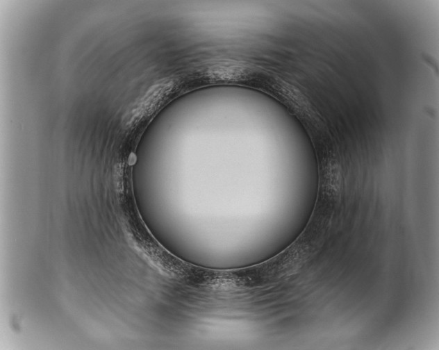 X0000101220738200807071347