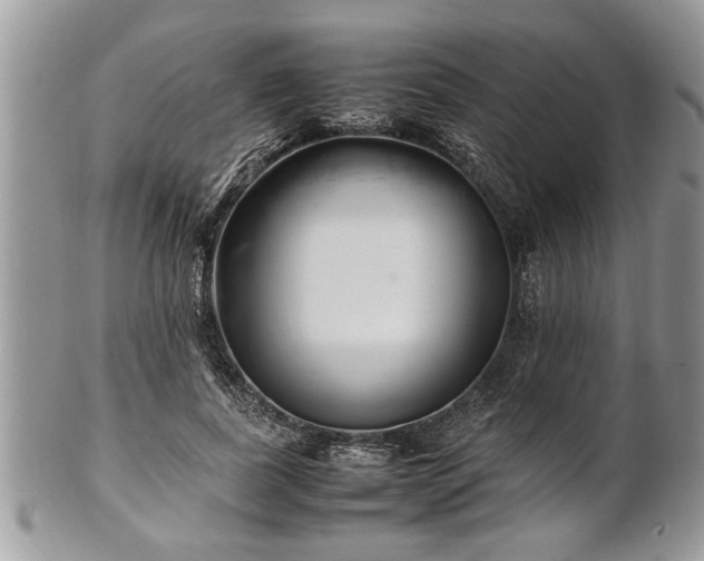 X0000101220739200807071347