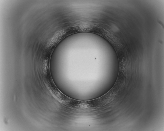 X0000101220742200807071347