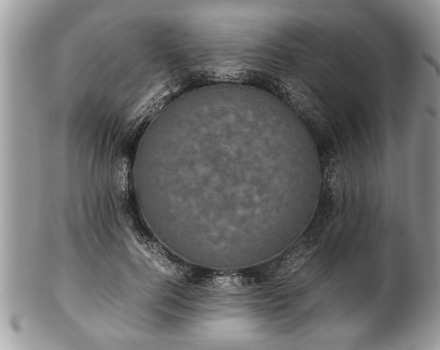 X0000101220744200807071347