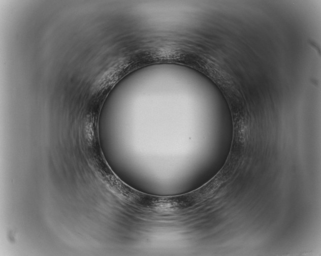 X0000101220746200807071347