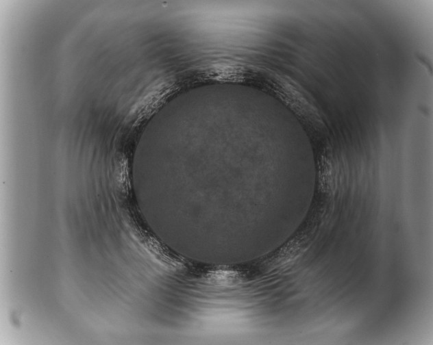 X0000101220748200807071347