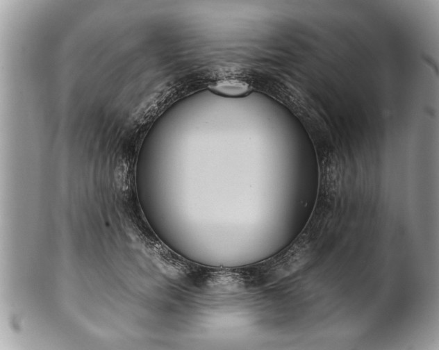 X0000101220750200807071347
