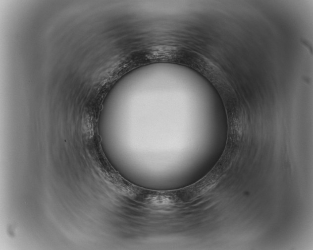 X0000101220751200807071347
