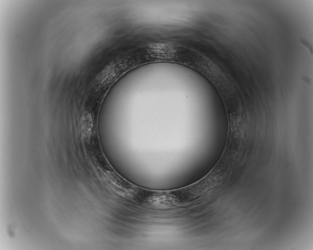 X0000101220752200807071347