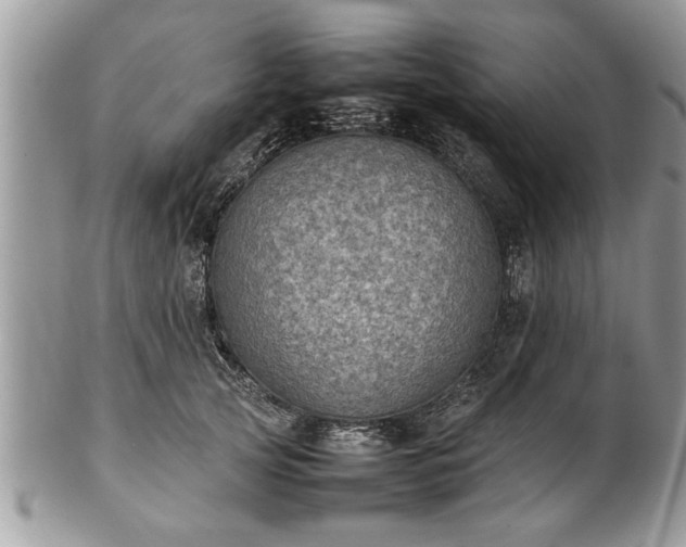 X0000101220753200807071347
