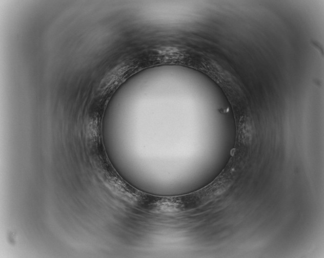 X0000101220756200807071347