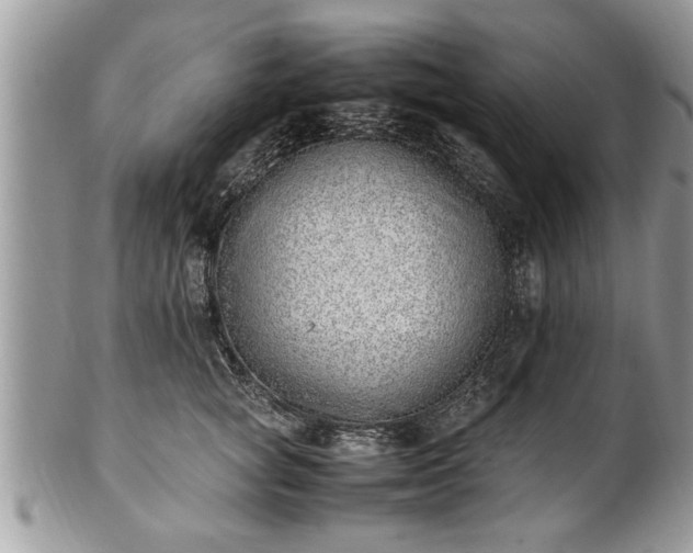 X0000101220757200807071347