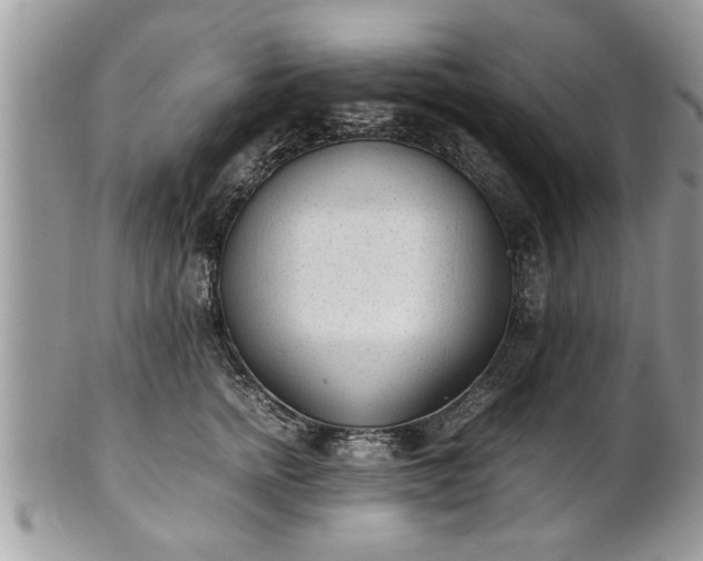 X0000101220758200807071347
