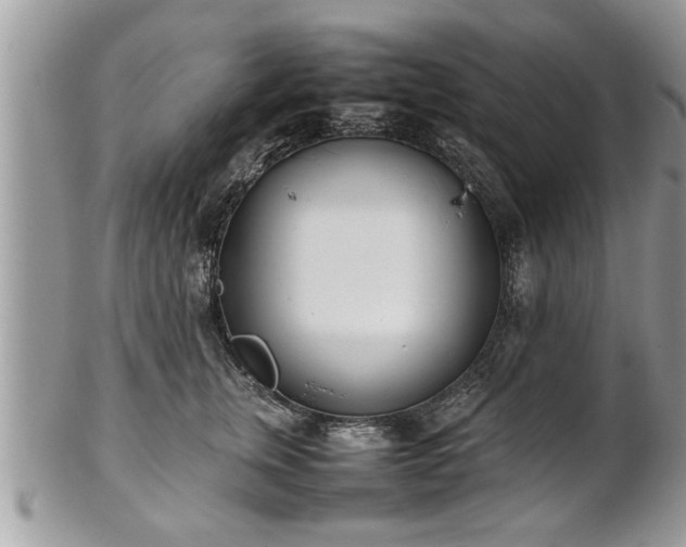 X0000101220759200807071348