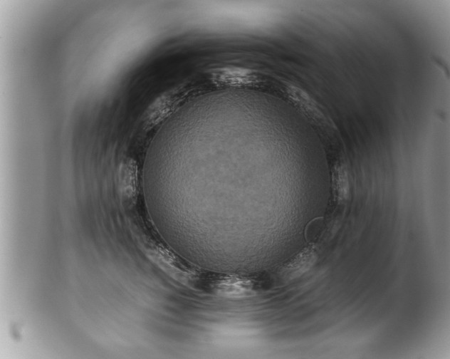 X0000101220760200807071348