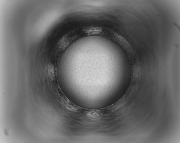 X0000101220761200807071348