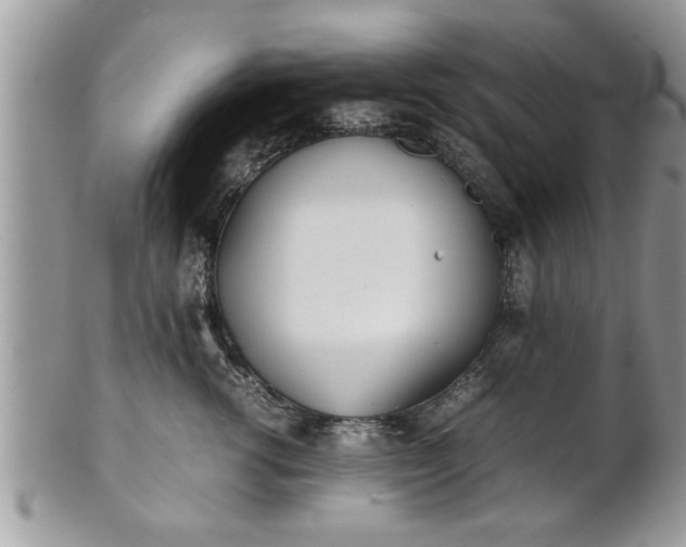 X0000101220762200807071348