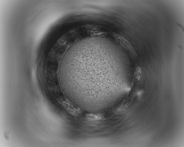 X0000101220763200807071348