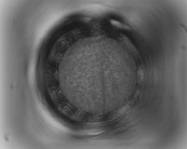 X0000101220765200807071348