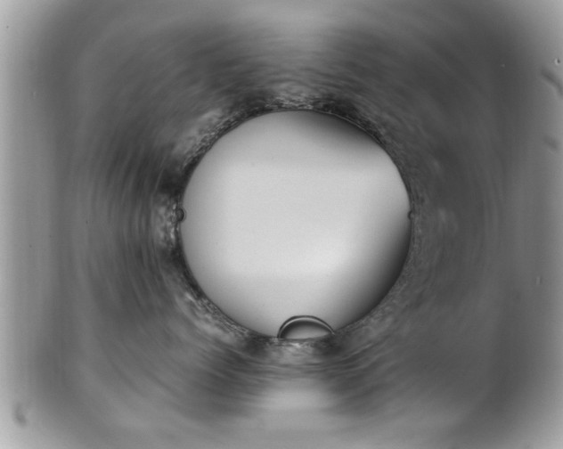 X0000101220768200807071348