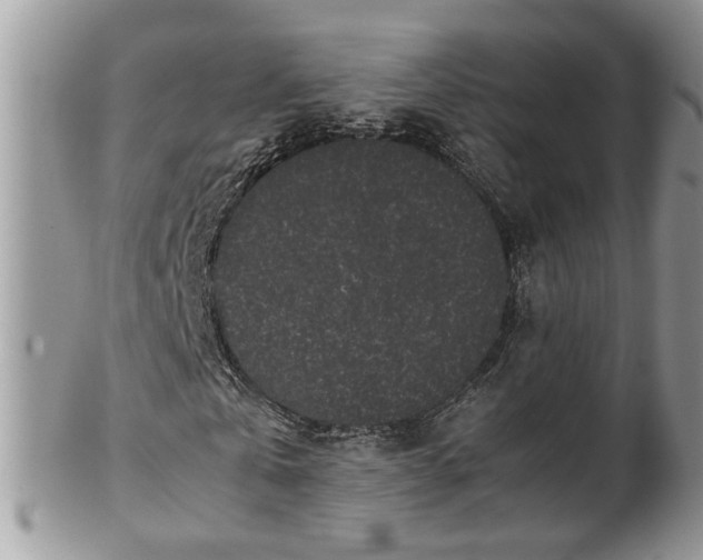 X0000101220769200807071347