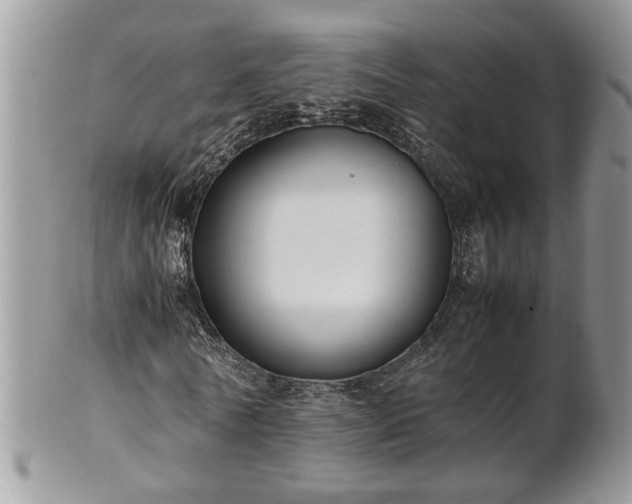 X0000101220770200807071347