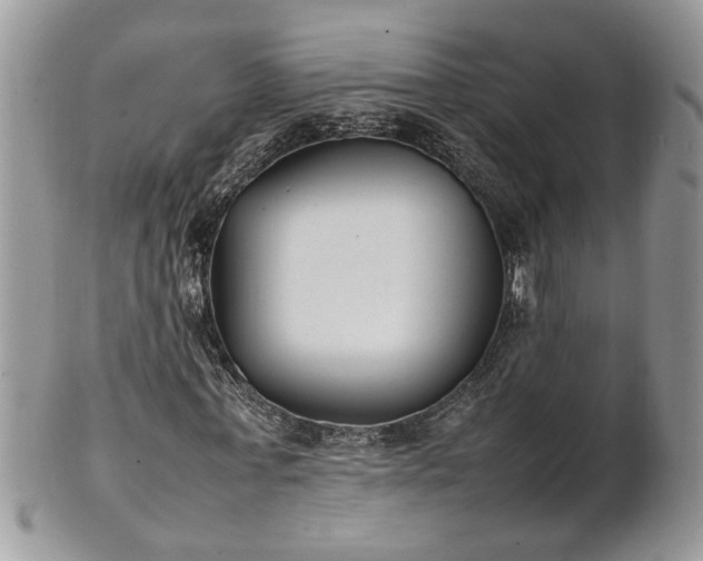 X0000101220771200807071347