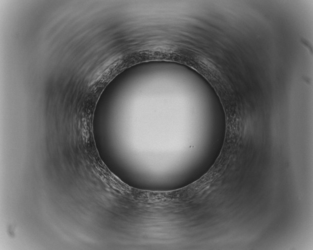 X0000101220774200807071347