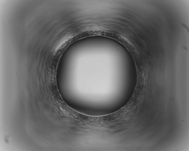 X0000101220775200807071347