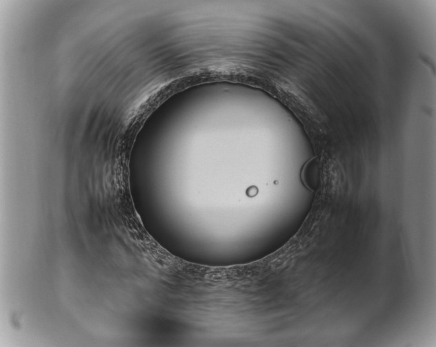 X0000101220776200807071347