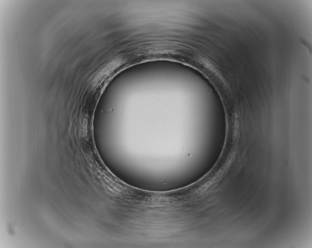X0000101220777200807071347