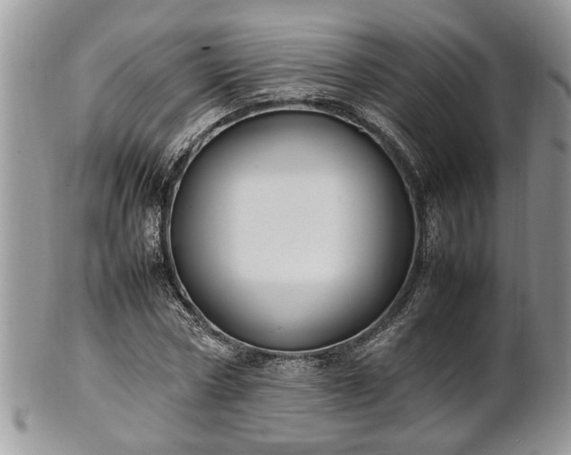 X0000101220778200807071347