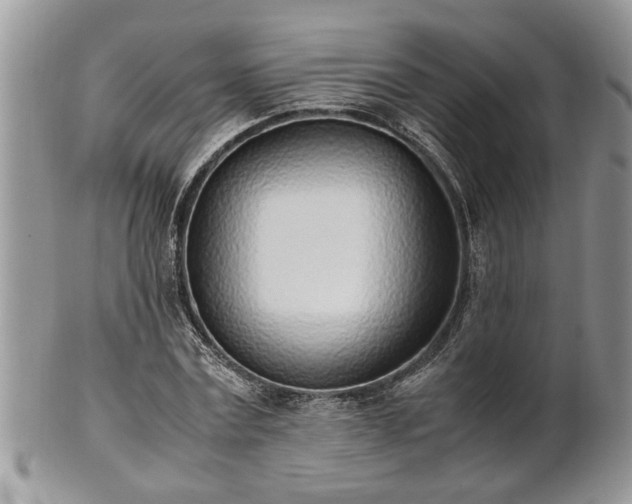 X0000101220779200807071347