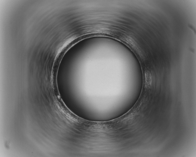 X0000101220780200807071347